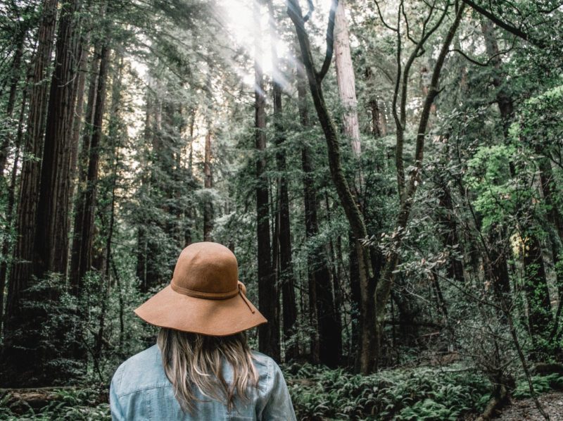 woman walking in forest