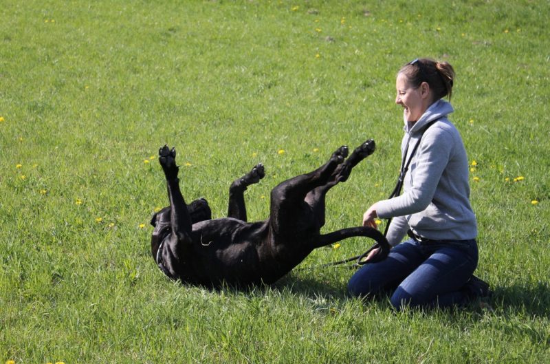 woman and dog frolicking