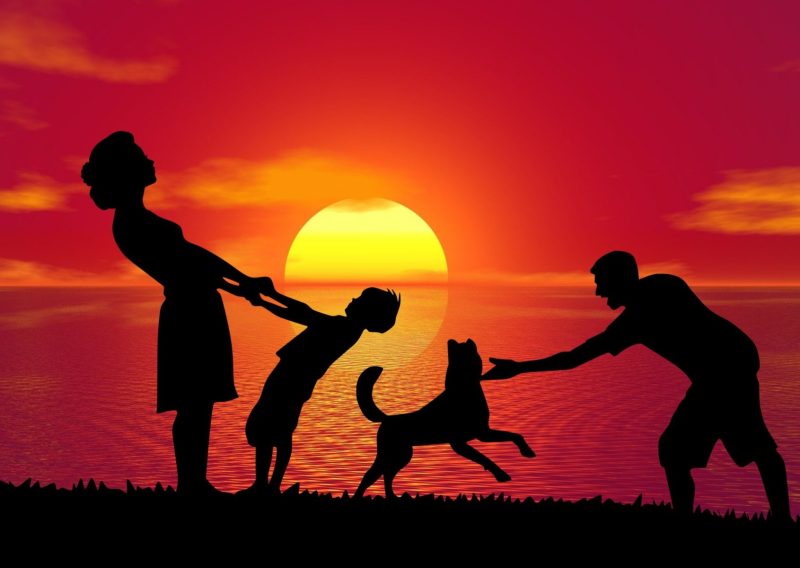 silhouette of mother father son and dog at sunset