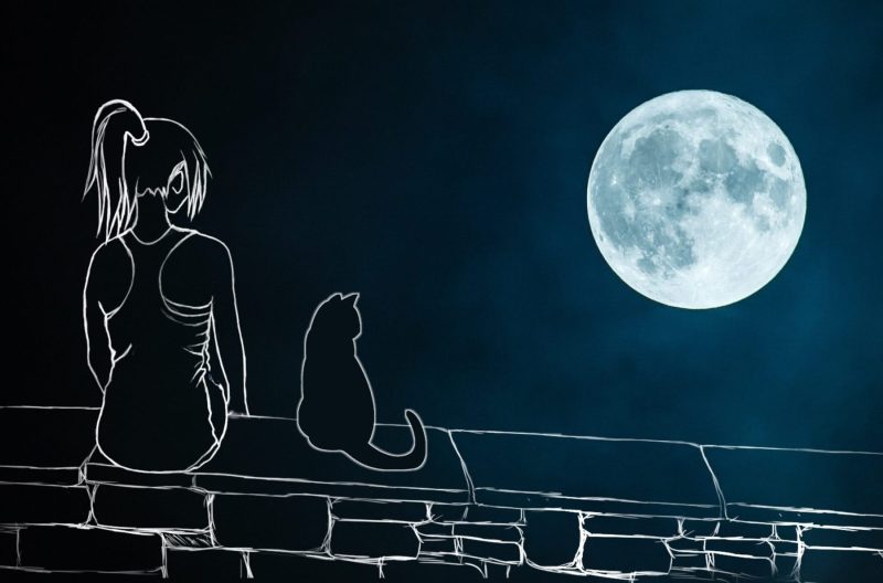 silhouette of girl & cat looking at moon
