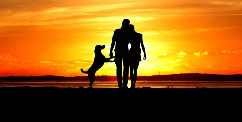 silhouette couple and their dog