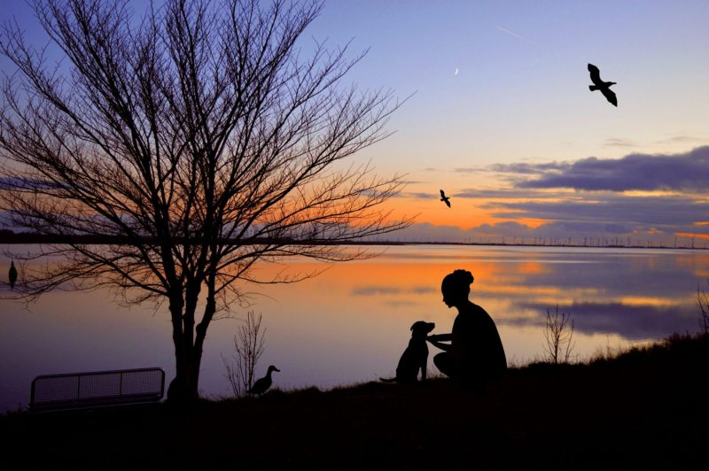 silhouette young woman and her dog