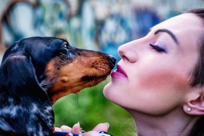 dog and woman ryan fahlen