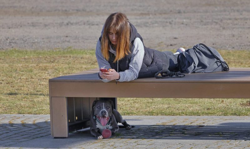 young lady on bench with her pitbull dog and rubber ball below