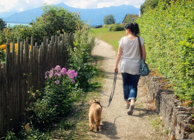 woman dog walking along gravel trail