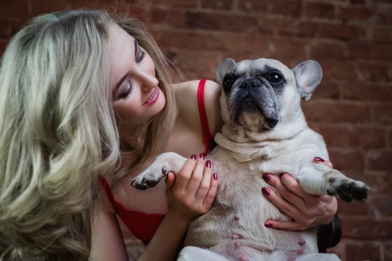 woman holding frenchie dog with brick wall background