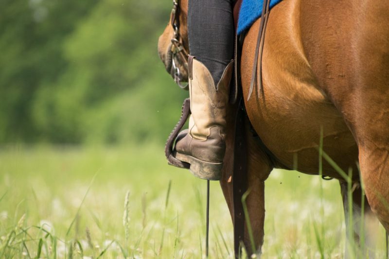 horse and rider's boot watts