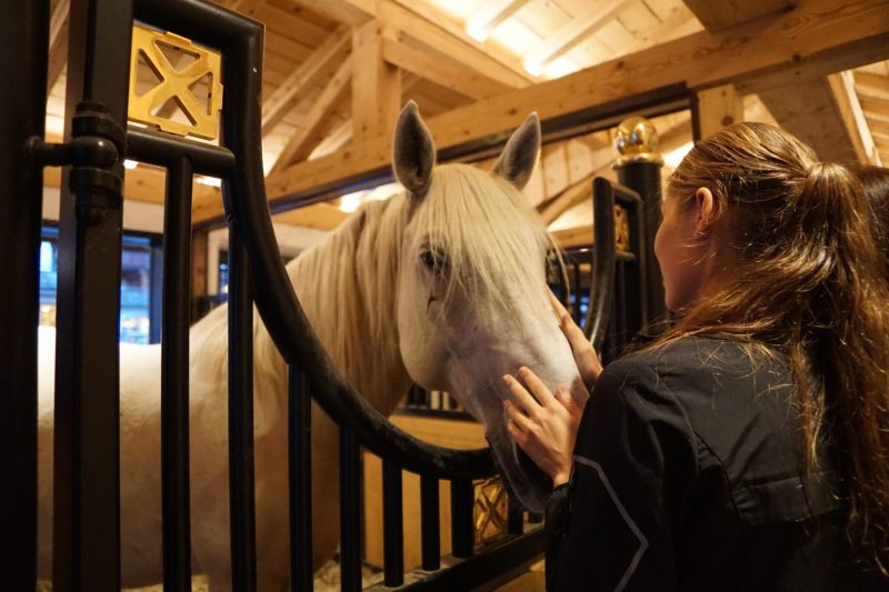 horse in stall young woman from behind mccarthy watts