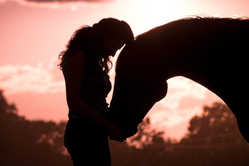 silhouette of woman and horse