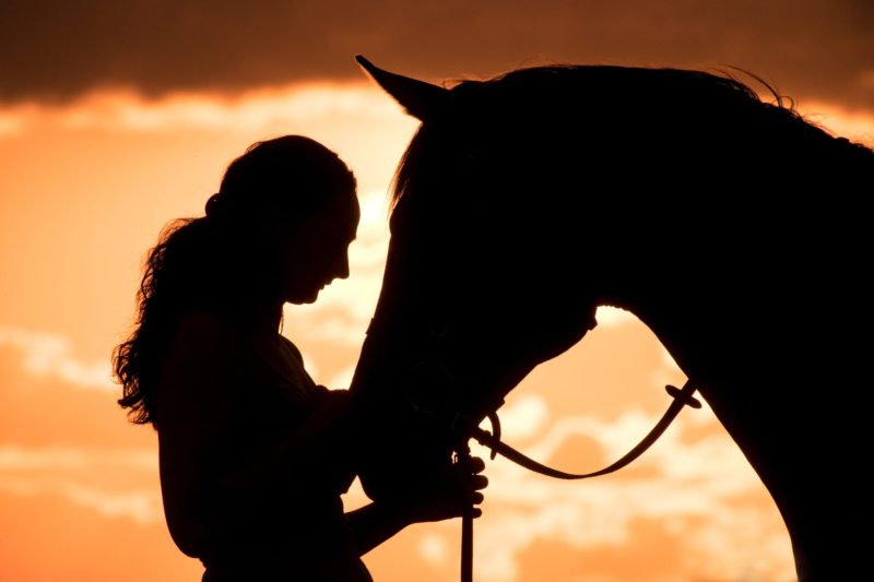 silhouette woman and horse
