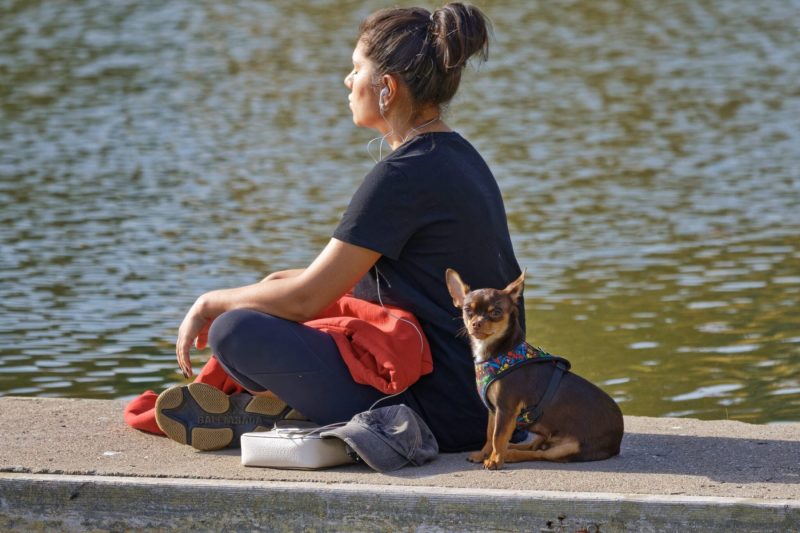 woman of sea wall with her dog
